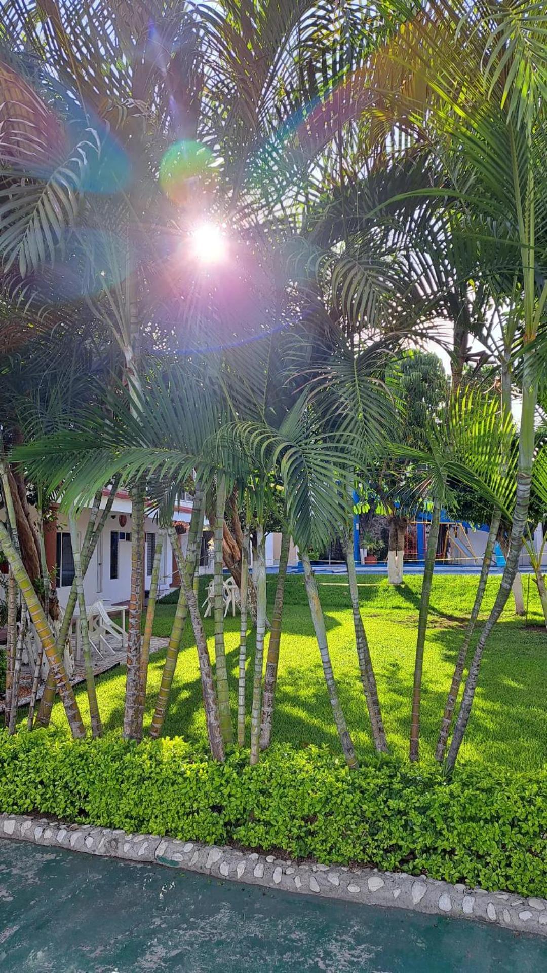 Hotel Quinta Paraiso Cocoyoc Esterno foto
