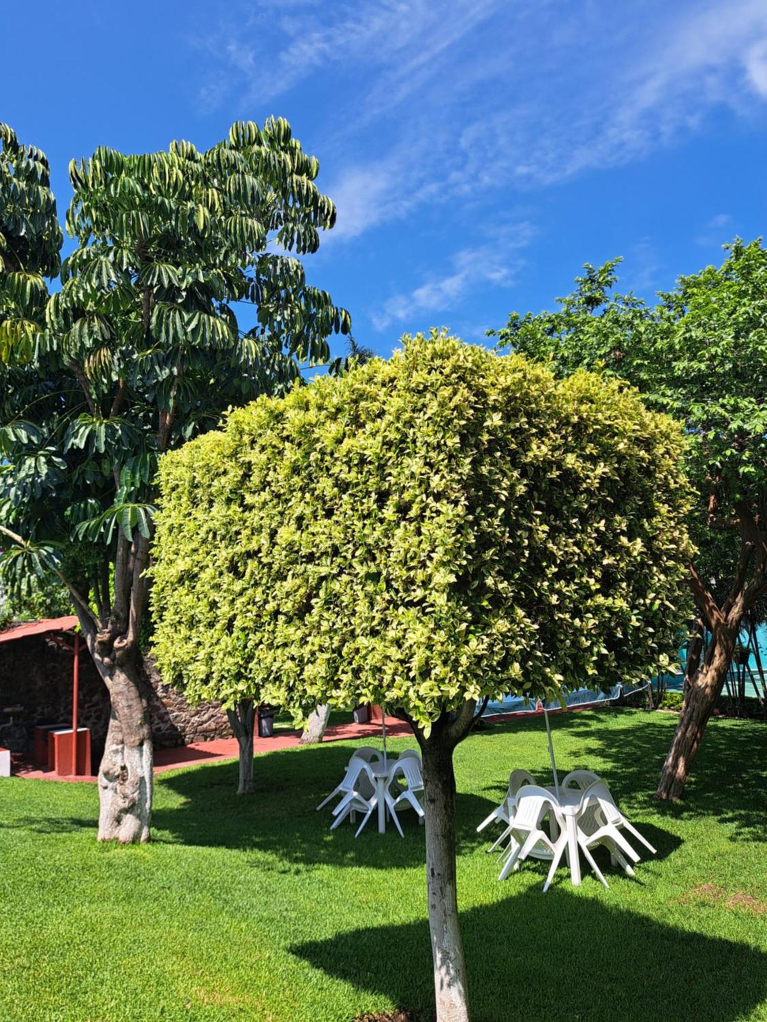 Hotel Quinta Paraiso Cocoyoc Esterno foto